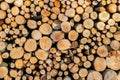 Pile of wood detail and close up Royalty Free Stock Photo