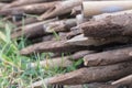 Pile of wood on green grass background. Royalty Free Stock Photo