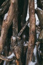 Pile of wood logs as background. Stacked wood logs background. Royalty Free Stock Photo