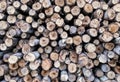 Pile of wood logs background Royalty Free Stock Photo