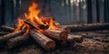 A pile of wood logs with a fire burning in the background. Royalty Free Stock Photo