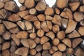 Pile of wood logs Firewood stacked and ready for winter Royalty Free Stock Photo