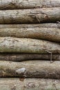 Pile of wood logs pattern, wood texture Royalty Free Stock Photo