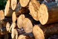 Pile of wood logs ready for winter - landscape exterior Royalty Free Stock Photo