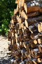 Pile of wood logs ready for winter - landscape exterior Royalty Free Stock Photo