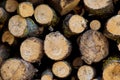 Pile of wood logs ready for winter - landscape exterior Royalty Free Stock Photo