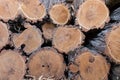 Pile of wood logs. Stack of firewood Royalty Free Stock Photo