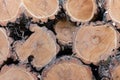 Pile of wood logs. Stack of firewood Royalty Free Stock Photo