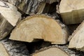 Pile of wood logs storage. Saws cut wood logs.