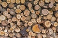 Pile of wood logs. Wood logs texture background. Pile of wood logs ready for winter. Pile of wood logs storage for industry Royalty Free Stock Photo