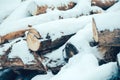 Pile of wood logs under snow Royalty Free Stock Photo
