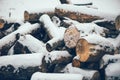 Pile of wood logs under snow Royalty Free Stock Photo
