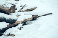 Pile of wood logs under snow Royalty Free Stock Photo