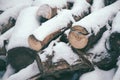 Pile of wood logs under snow Royalty Free Stock Photo