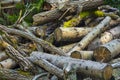 Pile of wood logs Royalty Free Stock Photo