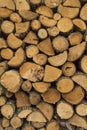 Pile of wood prepared for fuel