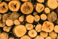Pile of wood ready for winter Royalty Free Stock Photo