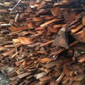 Pile of wood waste for feedstock Royalty Free Stock Photo