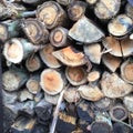 A pile of Wooden Cut Logs,