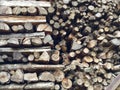 A Pile of Wooden Cut Logs, Munar Mountains,