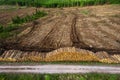 Pile of wooden logs by temporary road and huge field with freshly cut forest. Forestry industry. Increase in use of firewood due Royalty Free Stock Photo