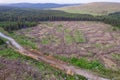 Pile of wooden logs by temporary road and huge field with freshly cut forest. Forestry industry. Increase in use of firewood due Royalty Free Stock Photo