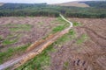 Pile of wooden logs by temporary road and huge field with freshly cut forest. Forestry industry. Increase in use of firewood due Royalty Free Stock Photo