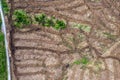 Pile of wooden logs by temporary road and huge field with freshly cut forest. Forestry industry. Increase in use of firewood due Royalty Free Stock Photo