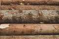 Pile of wooden logs texture. timber background