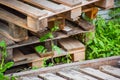 A pile of wooden pallet dumped in the grass Royalty Free Stock Photo