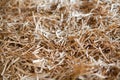 Pile of wooden shavings background Royalty Free Stock Photo