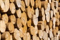 Pile of worked wooden roundish clear beautiful logs, stacked firewood