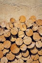 Pile of worked wooden roundish clear beautiful logs, stacked firewood