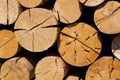 Pile of worked wooden roundish clear beautiful logs, stacked firewood