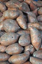 Pile of Yams / Sweet Potatoes
