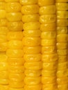 Pile of yellow corn closeup view. Boiled sweet corn closeup view. Maize seeds arranged in the pattern view