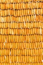 Pile of yellow corn cob Royalty Free Stock Photo