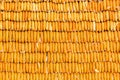 Pile of yellow corn cob Royalty Free Stock Photo