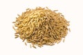 Pile of yellow gold rice. Macro of long paddy rice grains can use for background and texture. Close up of natural rice realistic