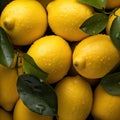 Pile of Yellow Lemons With Green Leaves