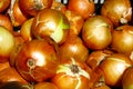 Yellow onions at Farmer`s market Royalty Free Stock Photo