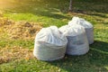 Pile of yellow and orange fallen leaves collected in big white plastic bags on green grass lawn at backyard. Autumn or spring Royalty Free Stock Photo