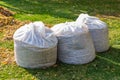 Pile of yellow and orange fallen leaves collected in big white plastic bags on green grass lawn at backyard. Autumn or spring Royalty Free Stock Photo