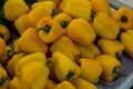 Pile of yellow peppers Royalty Free Stock Photo
