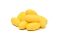 Yellow silkworm cocoons Royalty Free Stock Photo