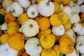 Pile of yellow and white pumpkins in organic farm market, autumn harvest background Royalty Free Stock Photo