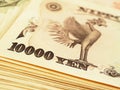 A pile of 10000 yen Japanese banknotes. The reverse of the banknote with the image of the Phoenix bird close-up. Contrast and