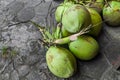 Pile of young coconuts on the floor Royalty Free Stock Photo