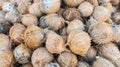 Pile of Young Dry Coconut Coir Husk Royalty Free Stock Photo