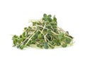 Pile of young sprout of microgreen isolated on white background. Green radish seeds sprouts